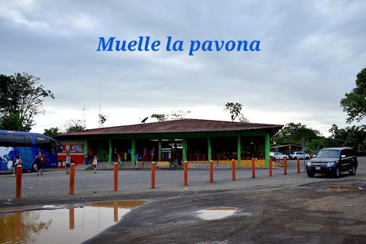 Casa Turtle Bogue Hotel Tortuguero Exterior photo