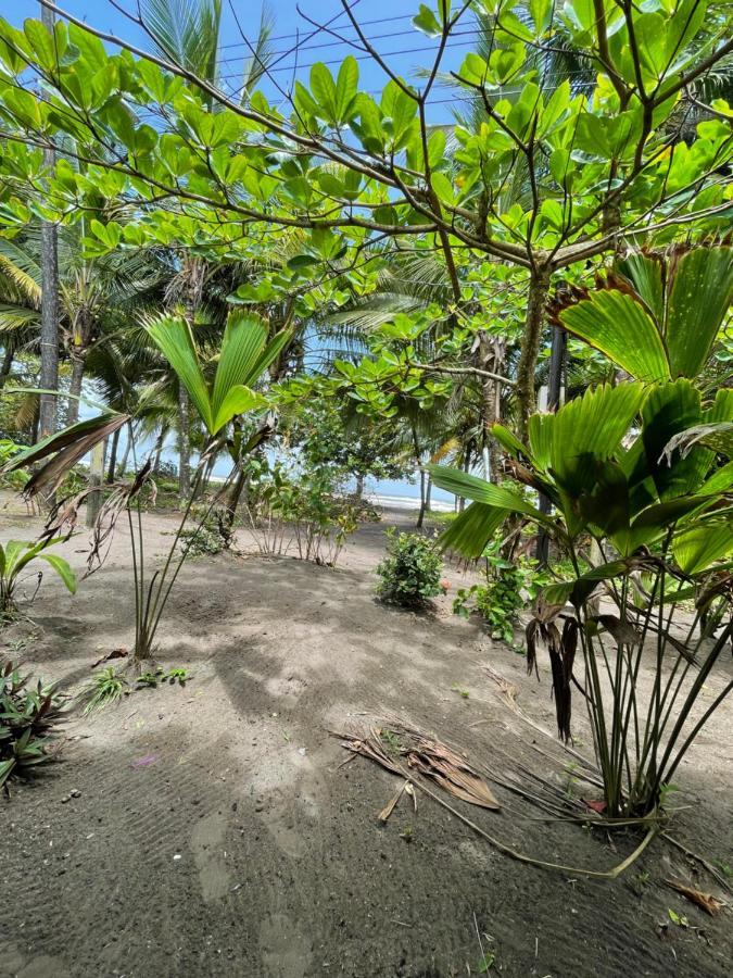 Casa Turtle Bogue Hotel Tortuguero Exterior photo