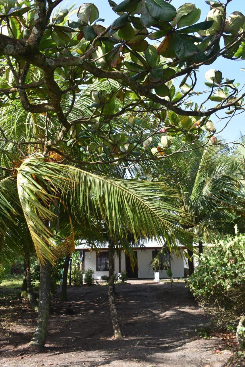 Casa Turtle Bogue Hotel Tortuguero Exterior photo