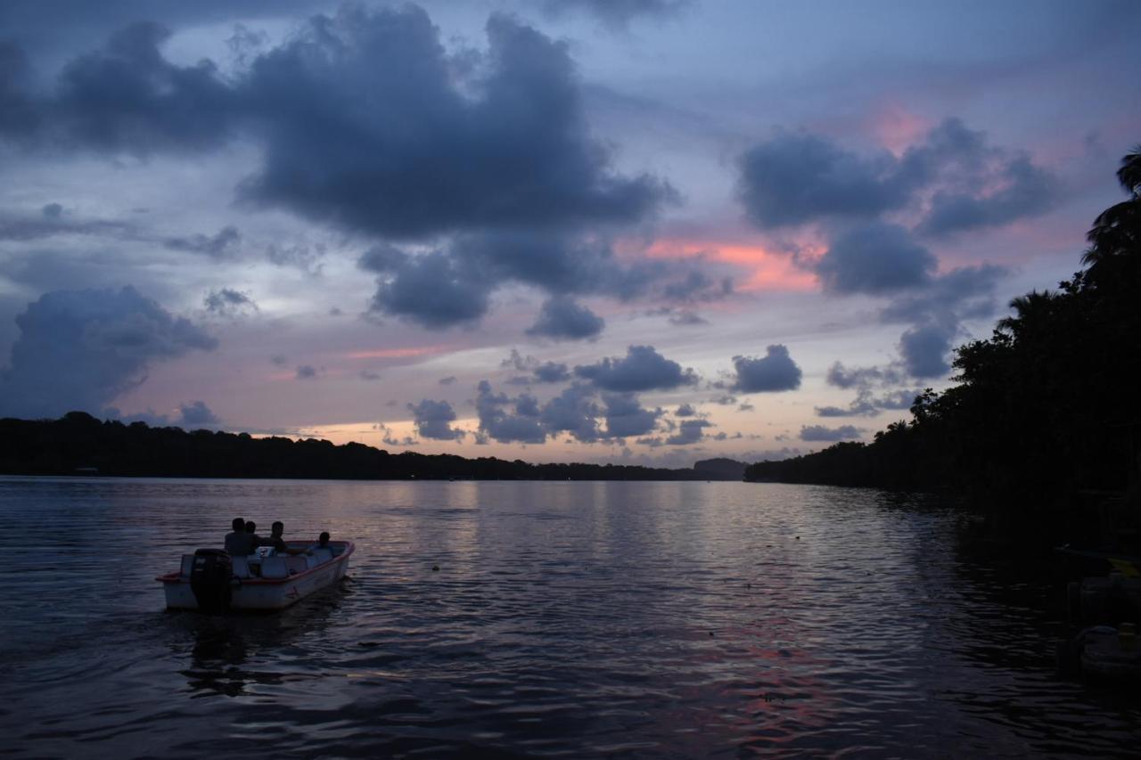 Casa Turtle Bogue Hotel Tortuguero Exterior photo