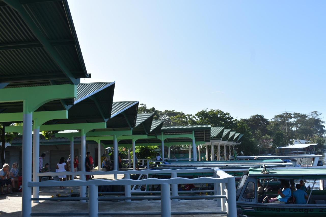 Casa Turtle Bogue Hotel Tortuguero Exterior photo