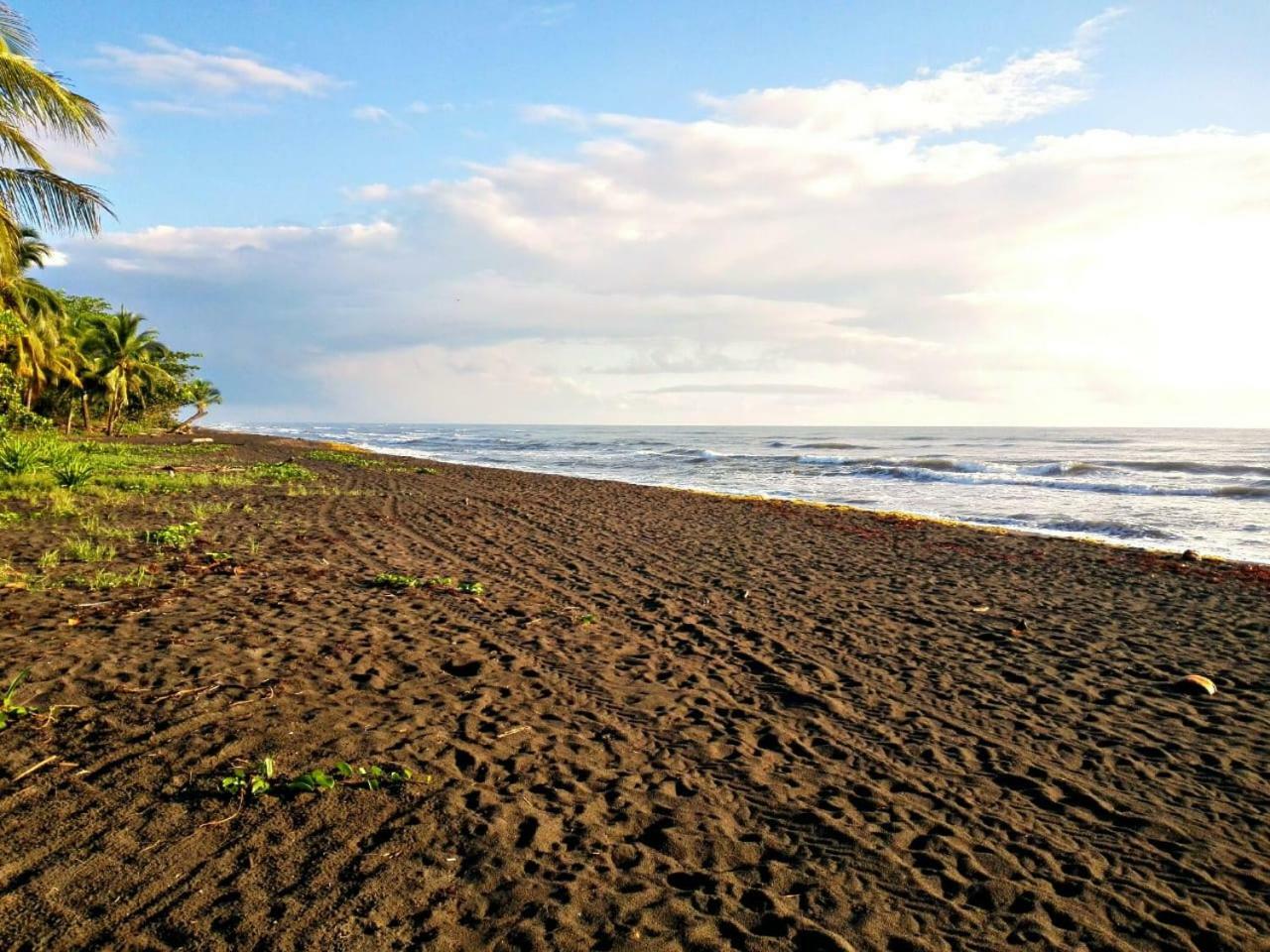 Casa Turtle Bogue Hotel Tortuguero Exterior photo