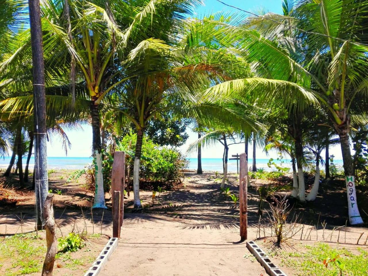 Casa Turtle Bogue Hotel Tortuguero Exterior photo