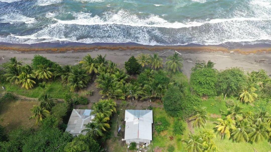 Casa Turtle Bogue Hotel Tortuguero Exterior photo